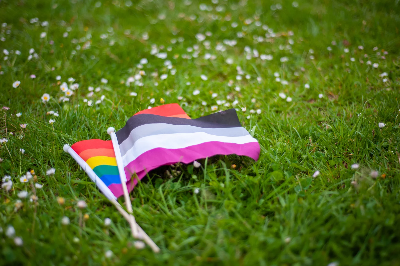 Featured image for CSD 2025